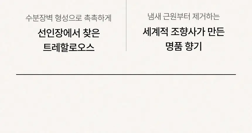 [신규런칭/산뜻한머릿결] 이드르르 코튼 헤어세럼 80ml 상세페이지 24